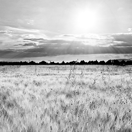 Open landscape representing strategic research collaboration